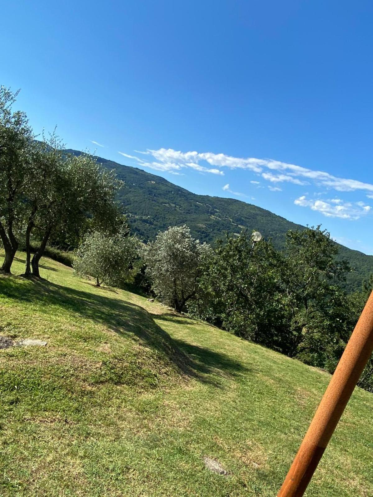 Locanda Di Praticino Rufina Dış mekan fotoğraf