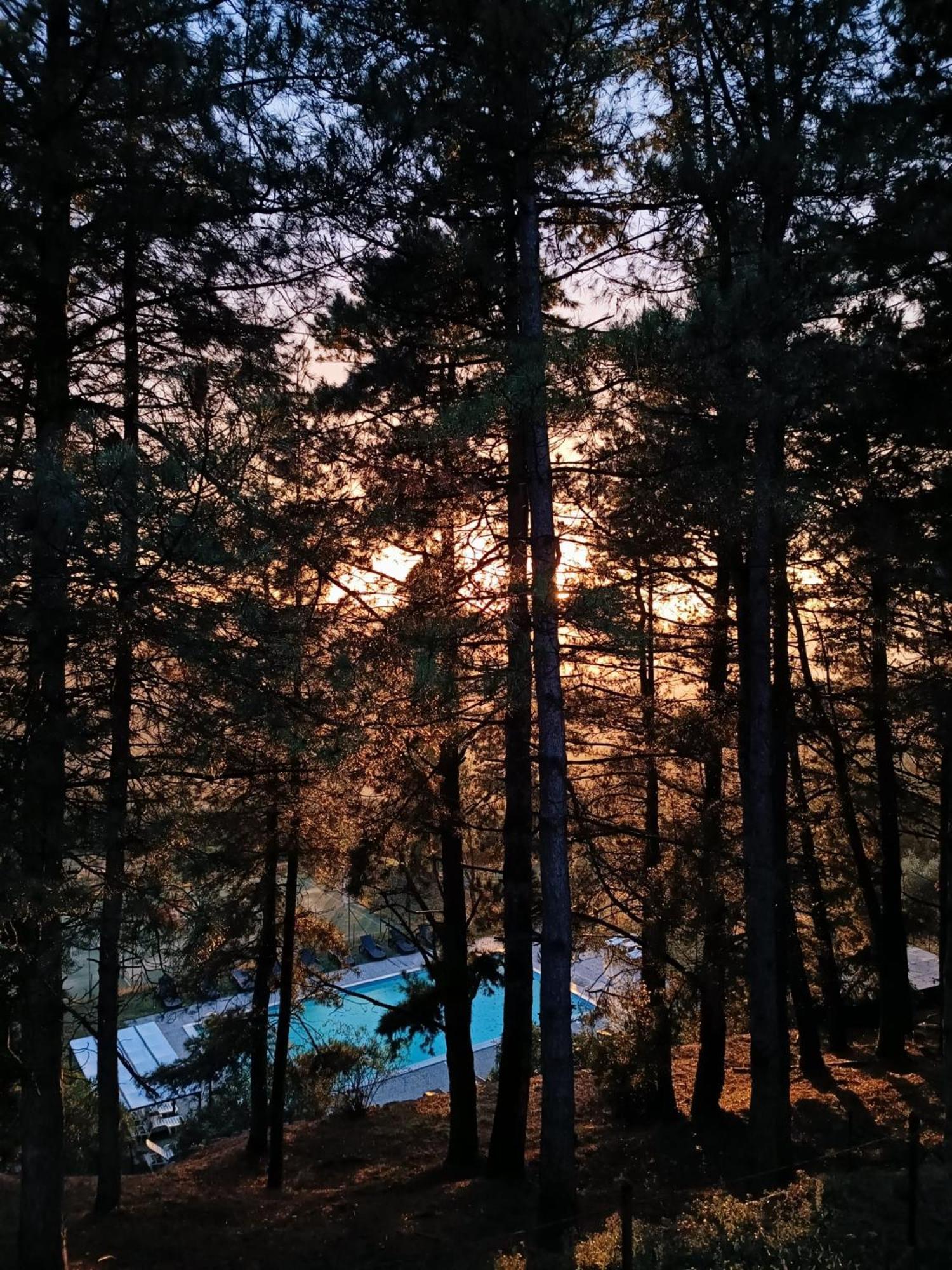 Locanda Di Praticino Rufina Dış mekan fotoğraf