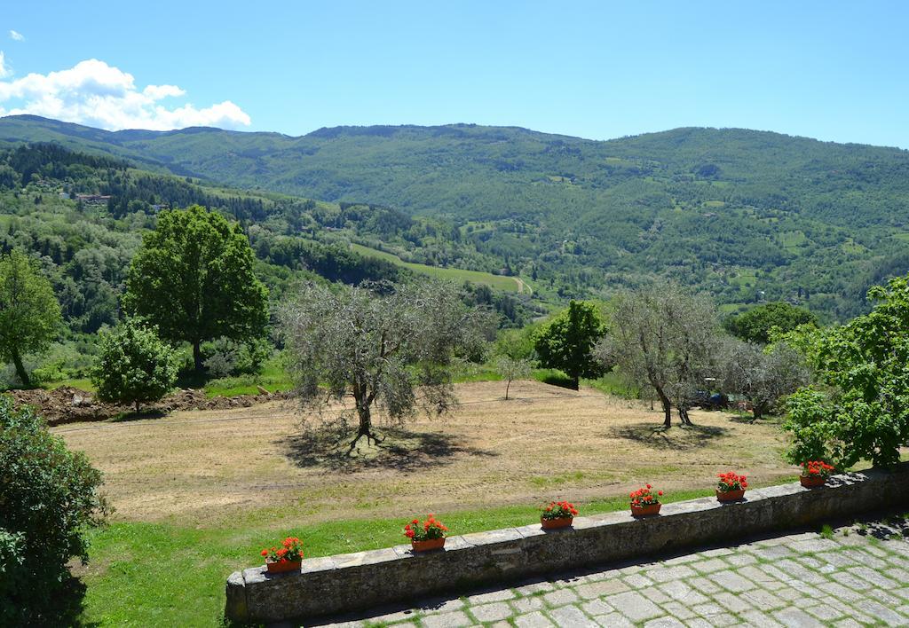 Locanda Di Praticino Rufina Dış mekan fotoğraf